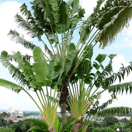 The View At Mystic Ridge Penthouse 78A Apartment Ocho Rios Luaran gambar