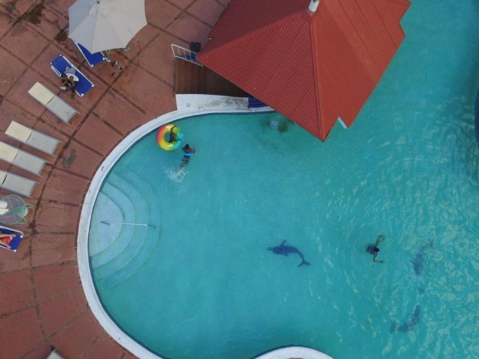 The View At Mystic Ridge Penthouse 78A Apartment Ocho Rios Luaran gambar