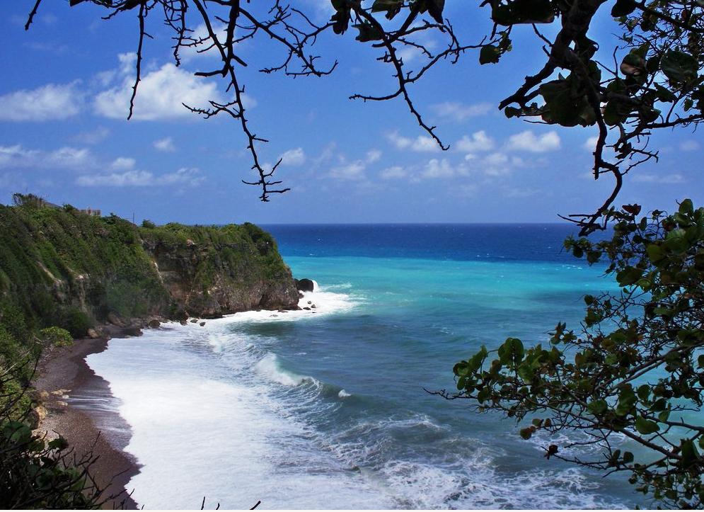 The View At Mystic Ridge Penthouse 78A Apartment Ocho Rios Luaran gambar